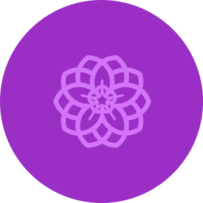 lavender_icon